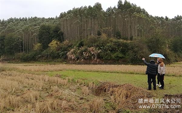 恩施土家族苗族自治州陈老师带着爱徒寻龙点穴